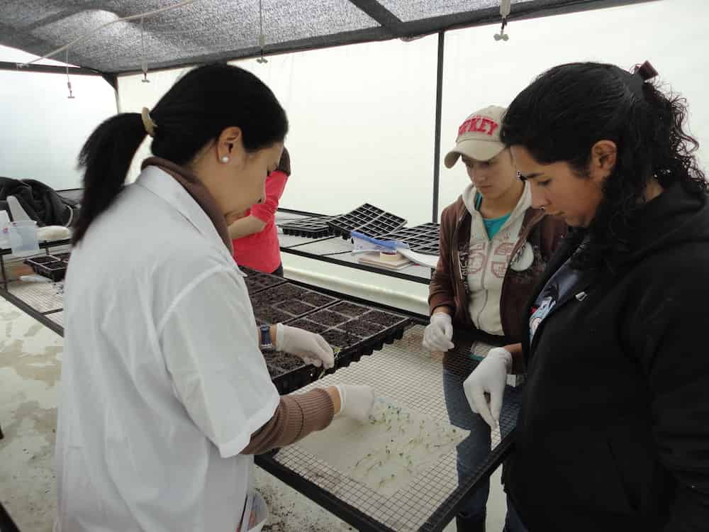 Three researchers work together at an outdoor field station under a canopy tent. On the left, a person in a white lab coat with dark hair in a ponytail works over a white gridded surface. In the center, someone wearing a baseball cap and brown jacket observes, while on the right, a person with curly dark hair in a dark jacket also participates in the work. All are wearing white gloves.