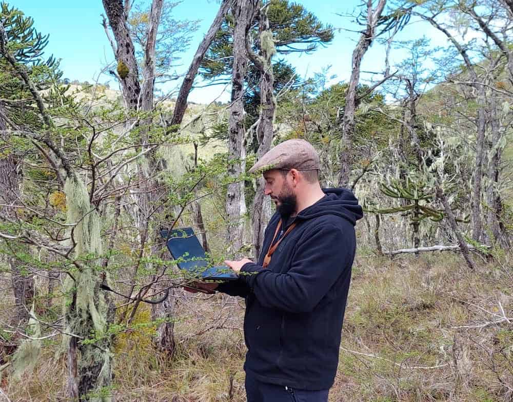 A bearded researcher wearing a brown flat cap and black hoodie works on a laptop computer while standing in an Araucaria forest in Chile, surrounded by distinctive twisted tree trunks with pale green lichens hanging from the branches.