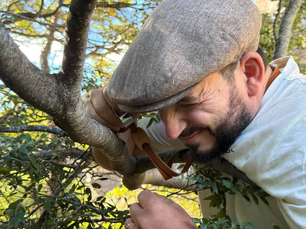 A bearded researcher wearing a gray flat cap and white shirt uses a magnifying glass to closely examine lichens growing on a tree branch in a forest setting, with dappled sunlight filtering through the canopy in the background.