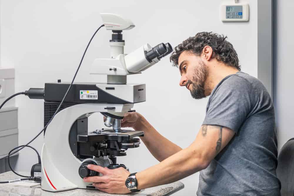 A researcher with curly dark hair and beard wearing a gray t-shirt examines a specimen through a professional microscope in a laboratory setting. He is adjusting the microscope stage with one hand while looking through the eyepiece.