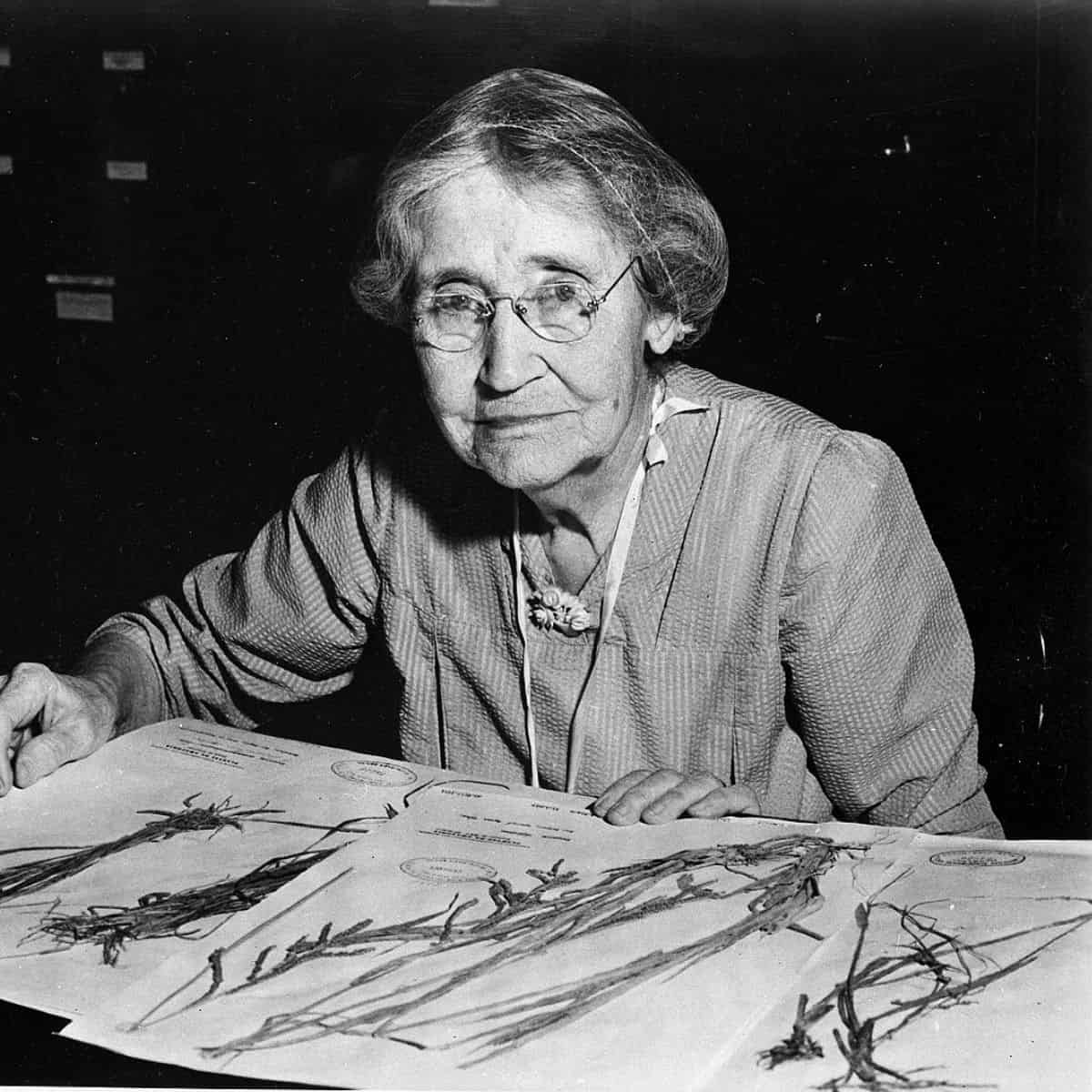 Women, Plants, and the Power of a Name