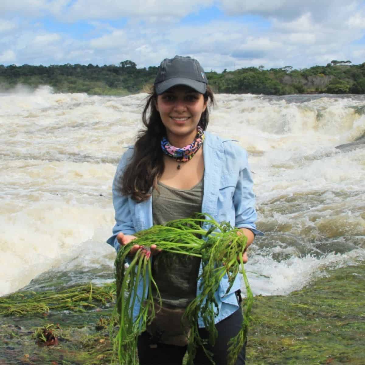 Ana Bedoya: Exploring the Evolutionary Journey of Aquatic Plants