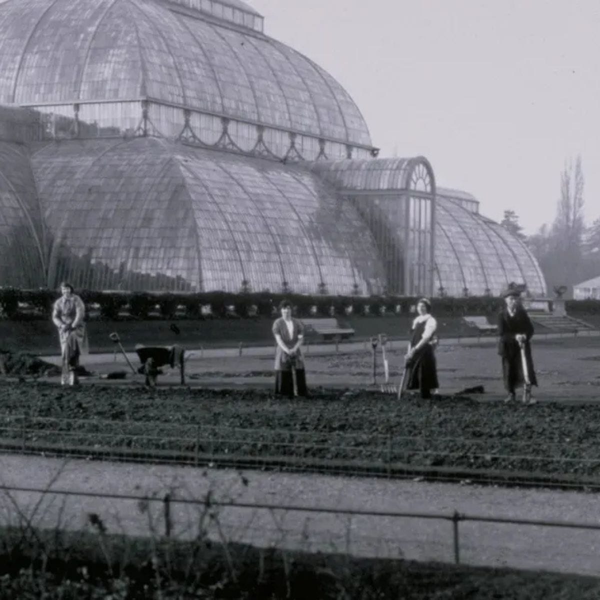 Unearthing the Botanical Legacy of the First World War