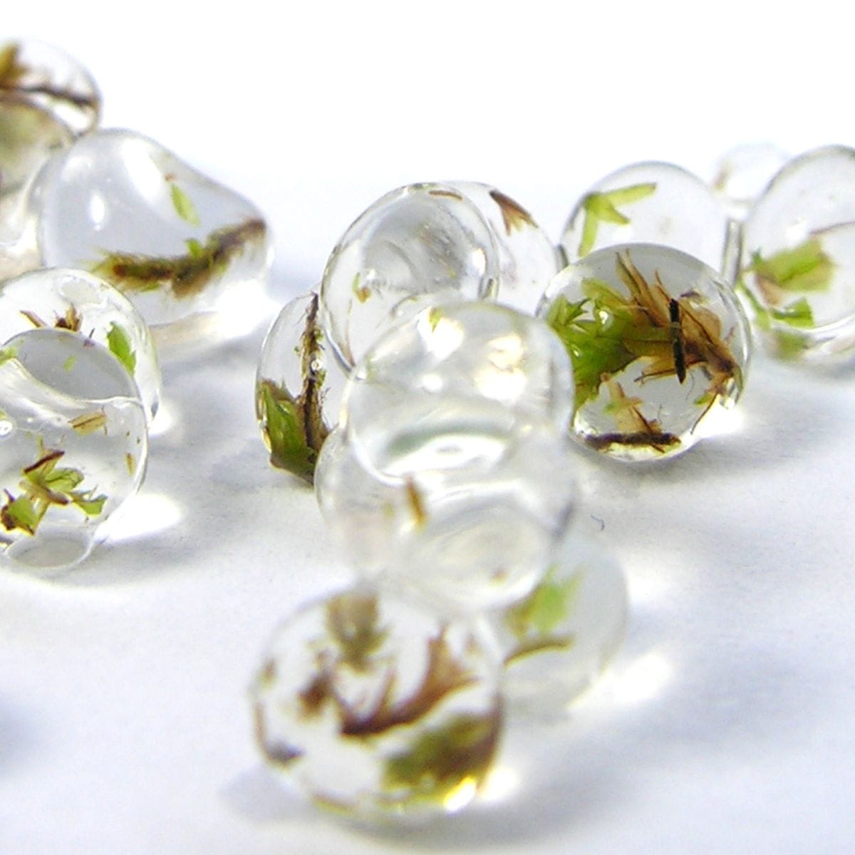 Ingenieros microscópicos: las cuentas que albergan el futuro de la restauración ecológica