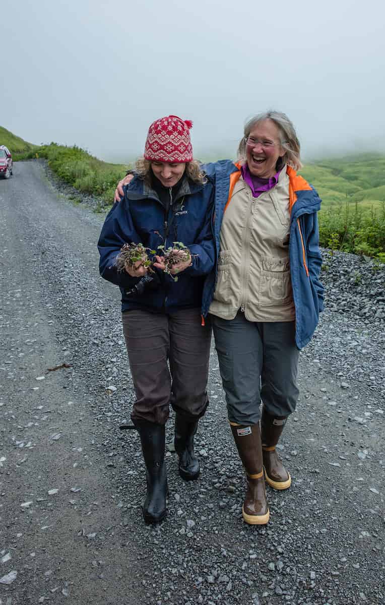 Two women in sturdy outdoor gear walk along a gravel path in Alaska, in a light mist. One is looking at the small plants in her hand.