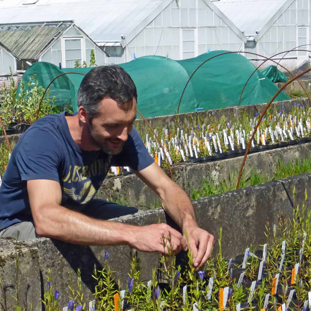 Filip Vandelook: “Let Yourself Be Amazed!”