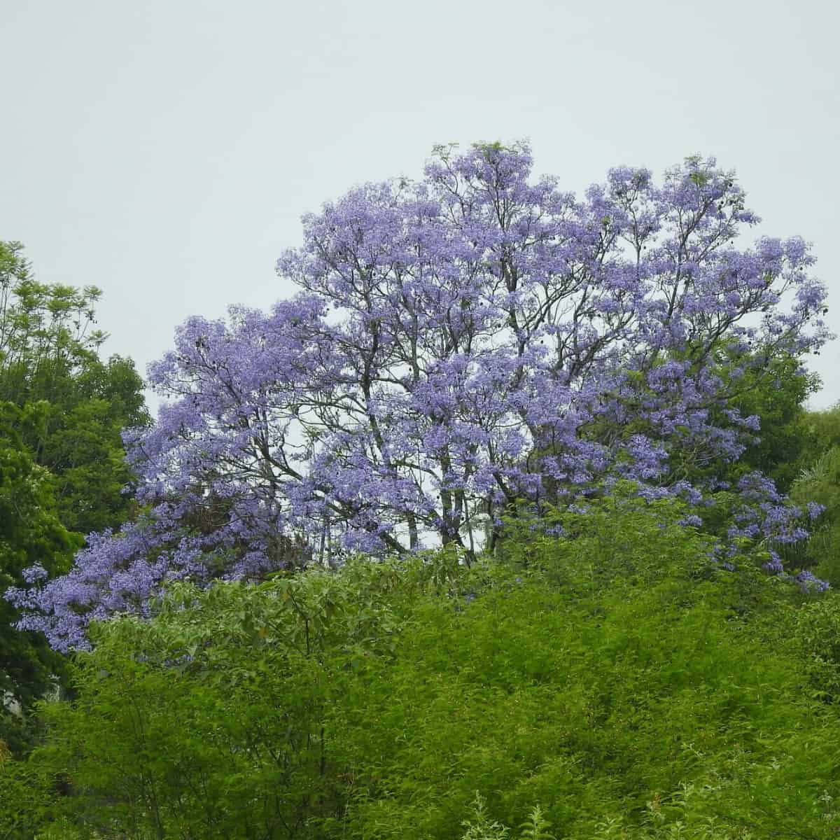 C'est la saison des couleurs joyeuses