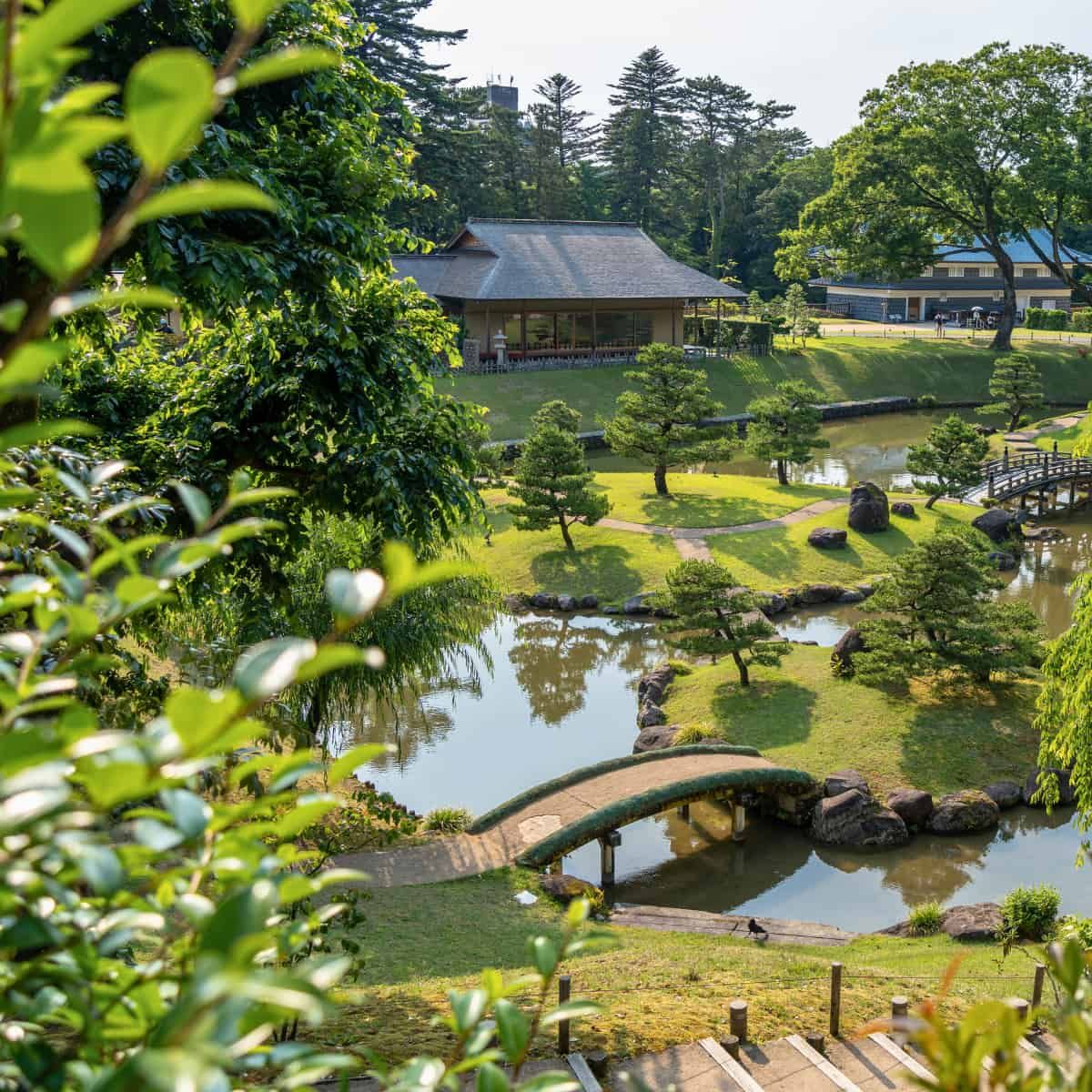 Jardín de sudokus