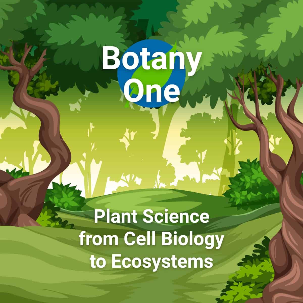 Botany One