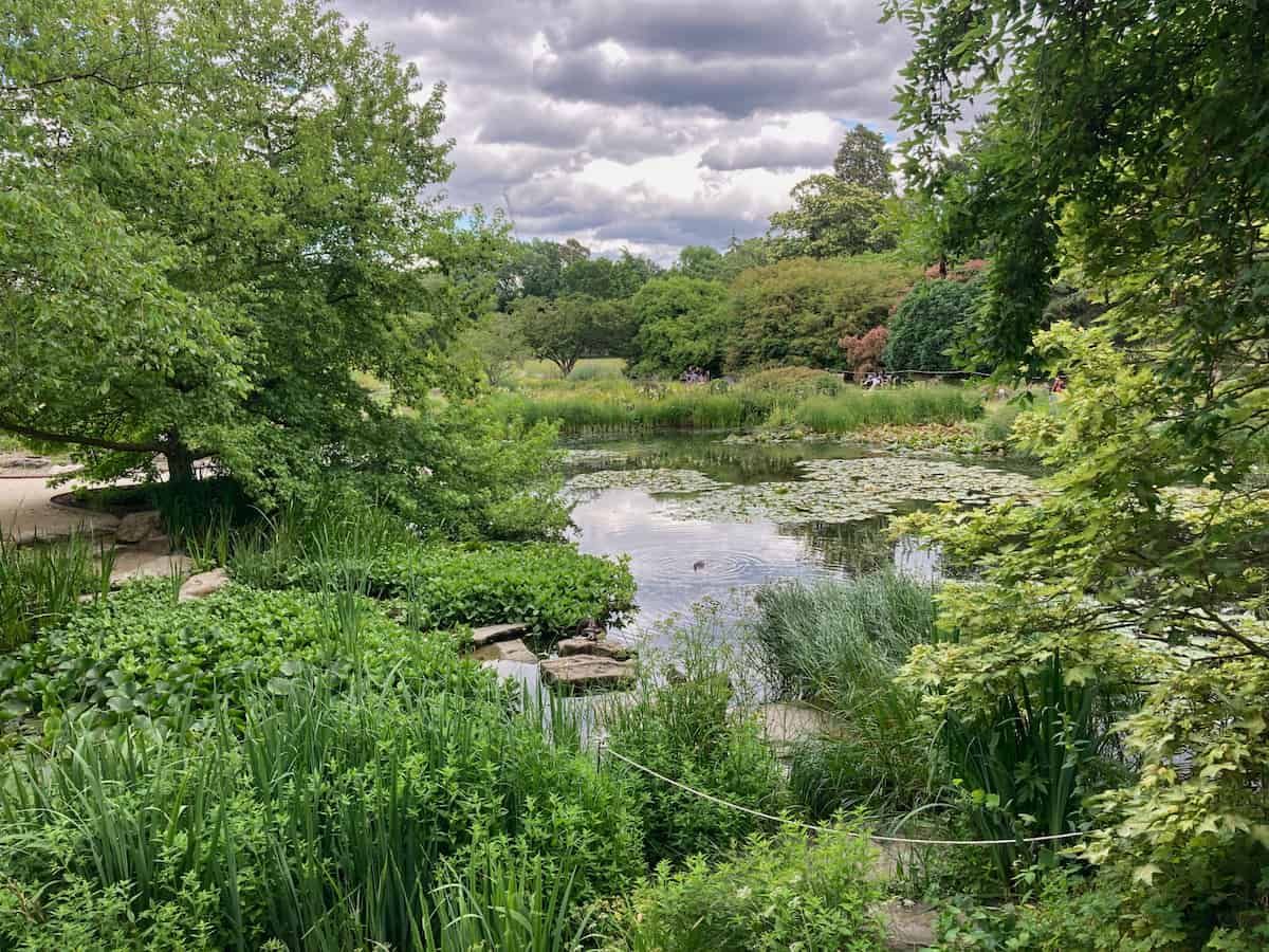 A view over an idyllic lake scene