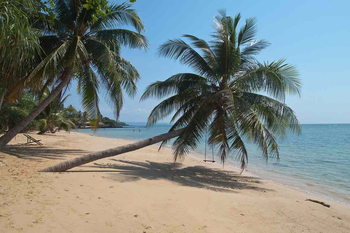 Semana Paleo: El norte de Canadá fue en su día un paraíso subtropical