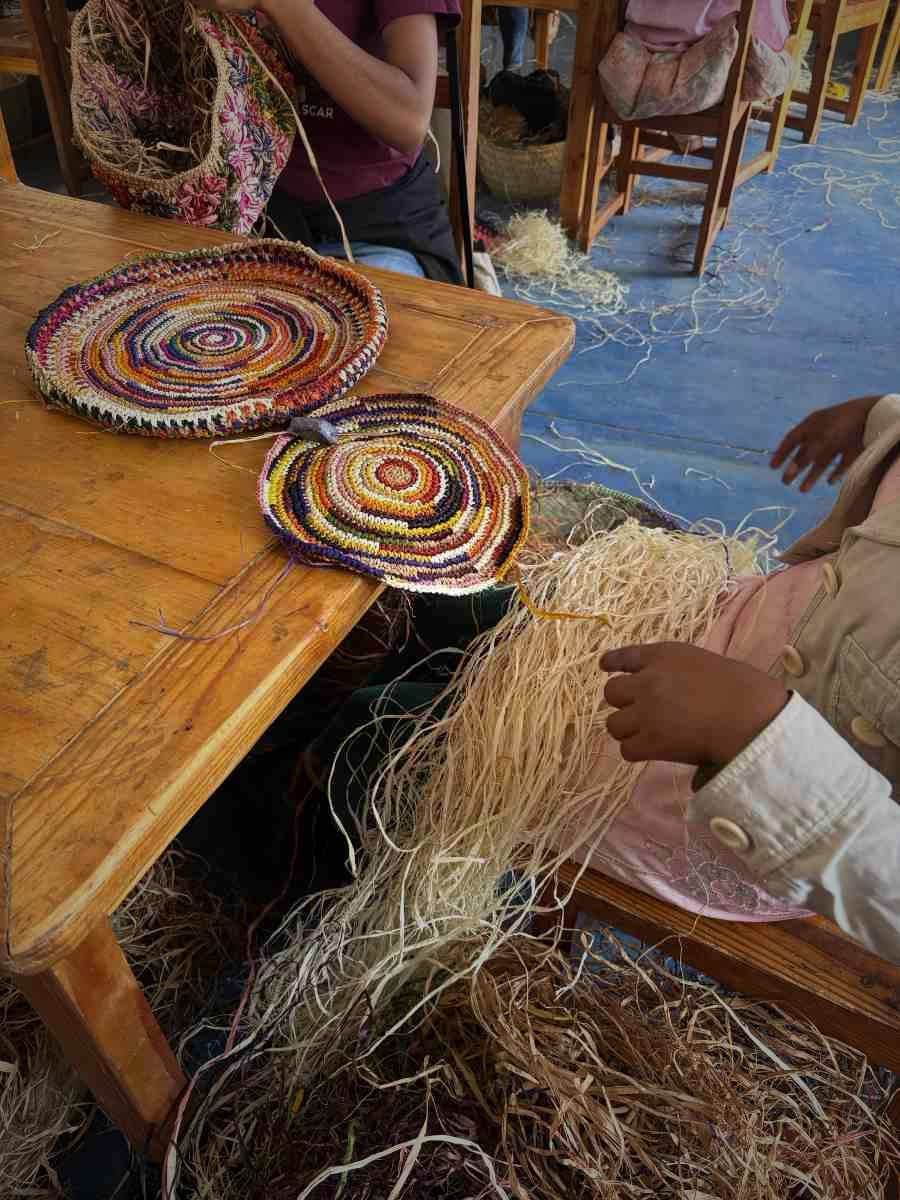 Unravelling Human-Plant Connections