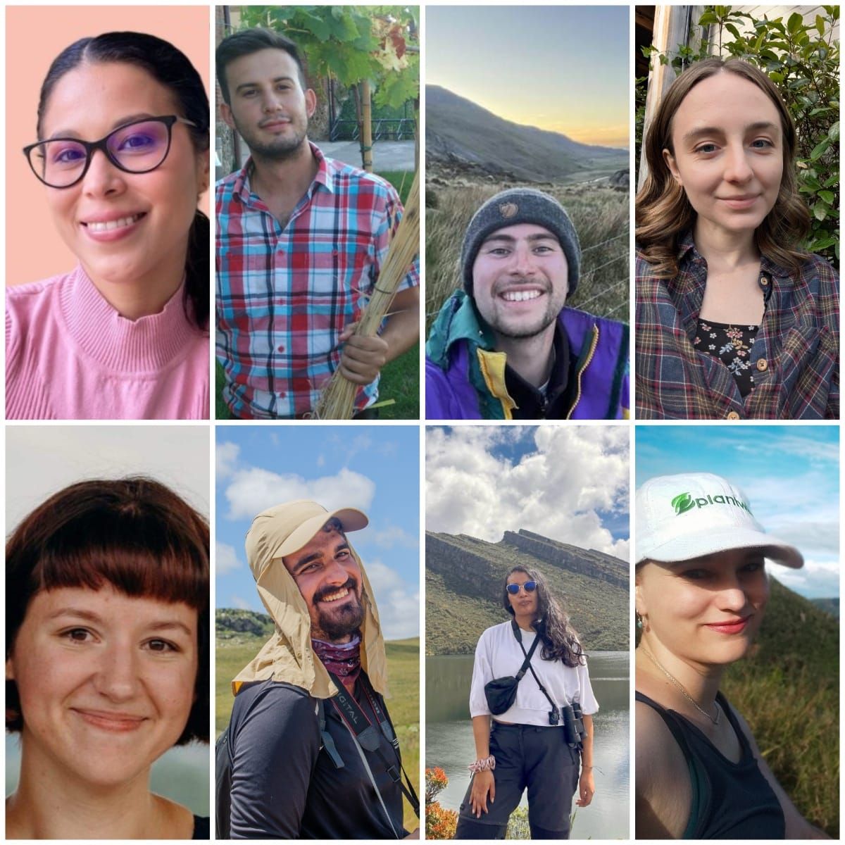 Editorial Reflection: Digital Botany, One Story at a Time