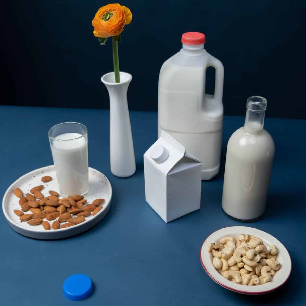 A still life of nut milk varieties with almonds, cashews, and a single flower in a vase.