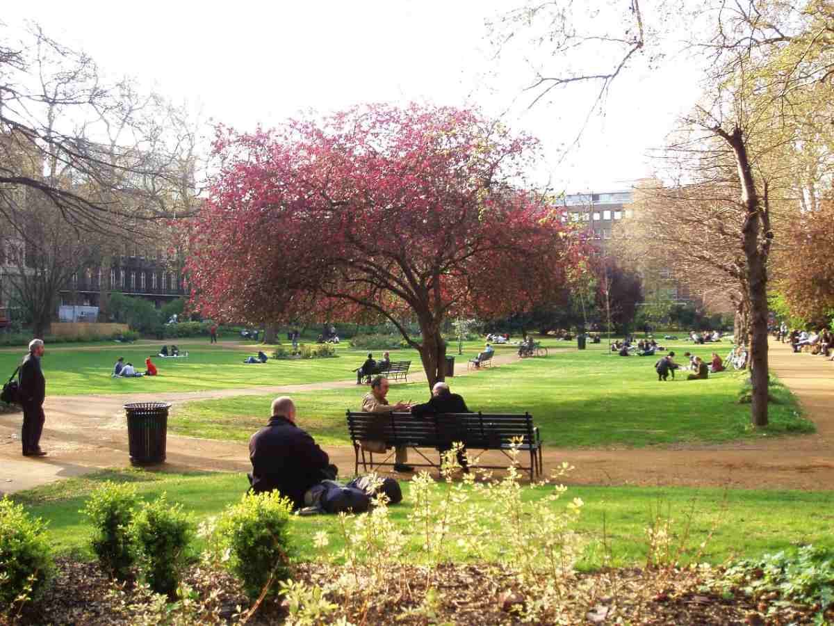 Humans Have a Profound Impact on Urban Biodiversity