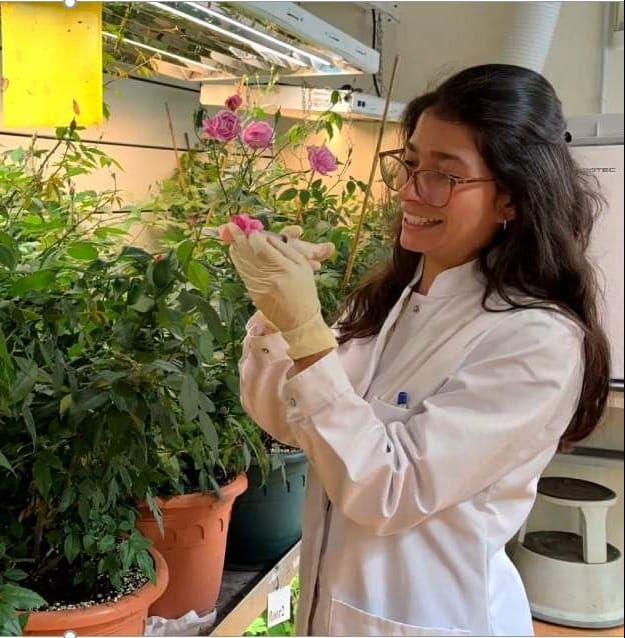 Mariana López-Gordillo: The Case of the Disappearing Rose Scent