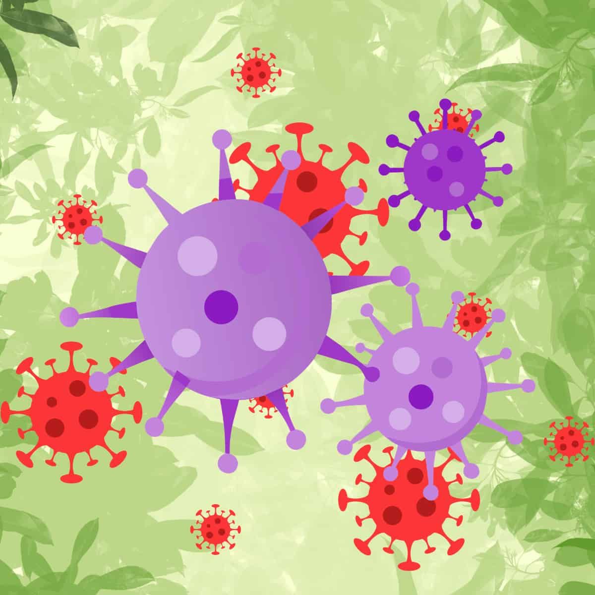 Clip art viruses against a botanical background.