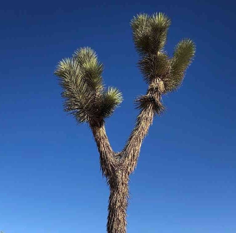 Science Shared: October 24