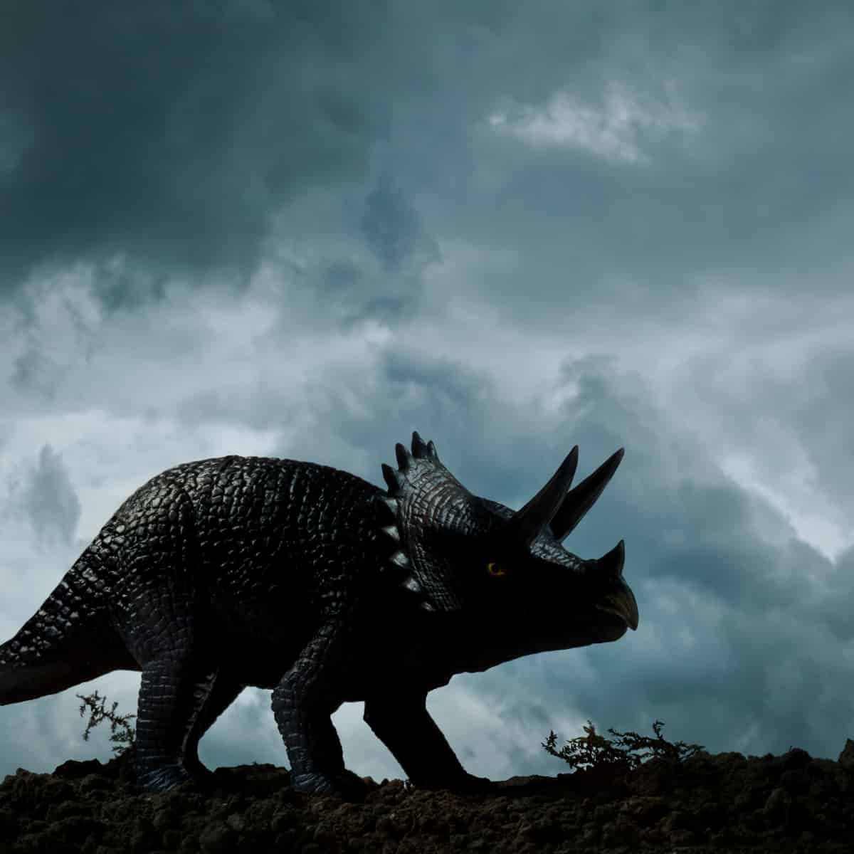 Uma silhueta de um Triceratops, sem dúvida o melhor dinossauro.