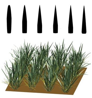 Model-based analysis of leaf shape