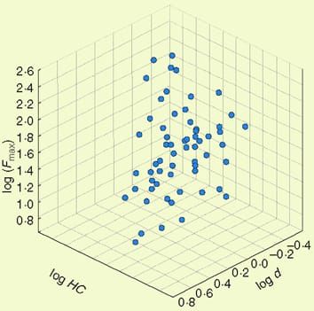 Mecánica y química de raíces en Abies