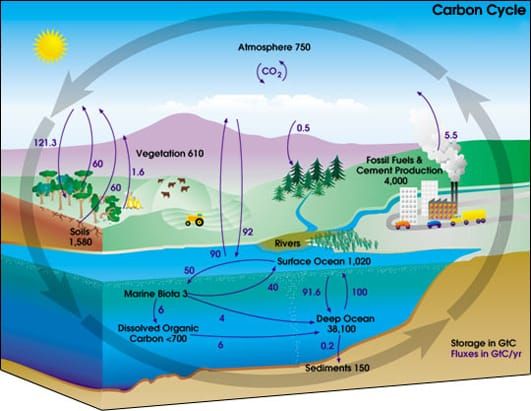 Image: NASA Earth Observatory/Earth Science Enterprise.