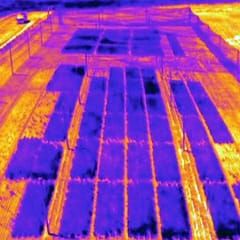 Phenomics - technologies pour soulager le goulot d'étranglement du phénotypage