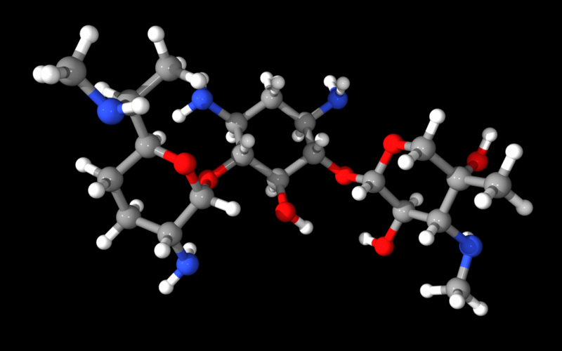 Gentamicin antibiotic: a 30S prokaryotic ribosome inhibitor (wiki)