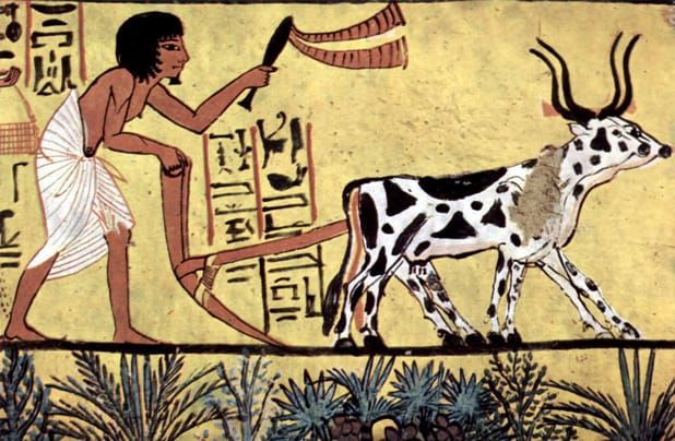 Imagem: Cena de um mural na tumba de Sennedjem, Egito.