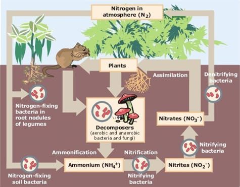 Image: US Environmental Protection Agency.