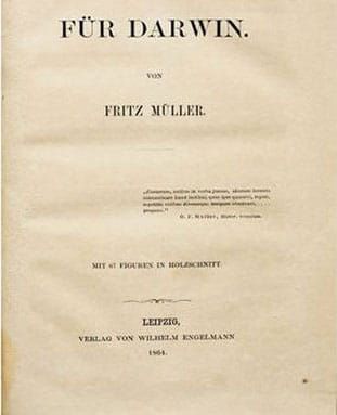 Für Darwin