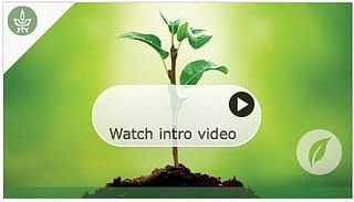 Ce qu'une plante sait - Rapport MOOC