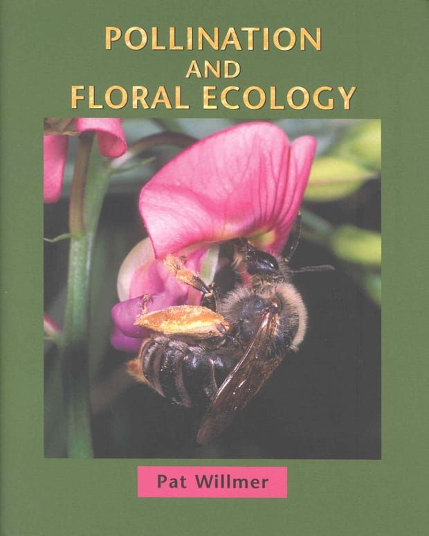 Bestäubung und Blumenökologie