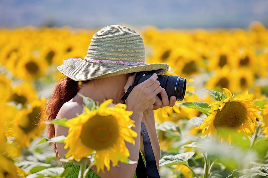 Picture Perfect