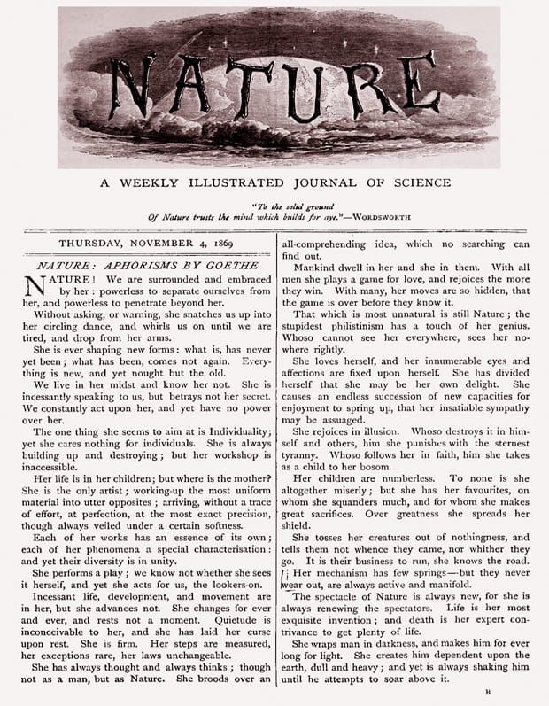 Imagen: Wikimedia Commons.