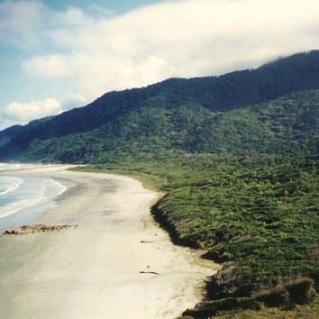 Filogenia e diversidade da seção Myrcia Aulomyrcia
