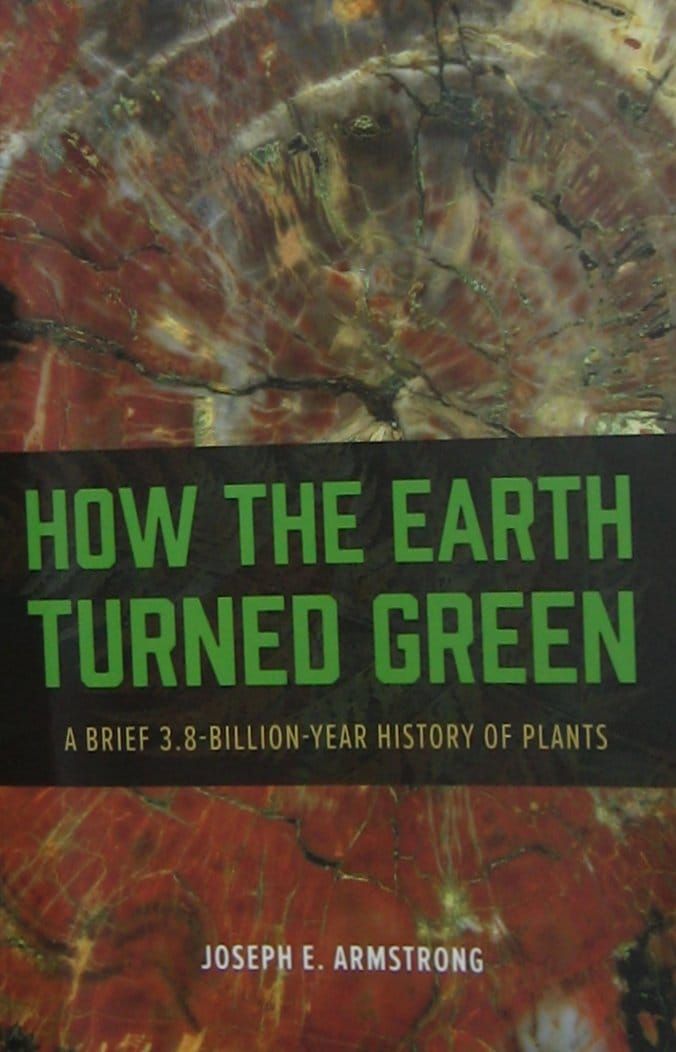 Cómo la tierra se volvió verde