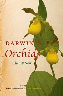 Charles Darwin – Bestäubungswissenschaftler