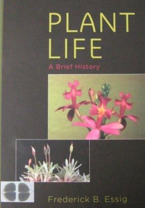 Plant Lives: A timely coincidence