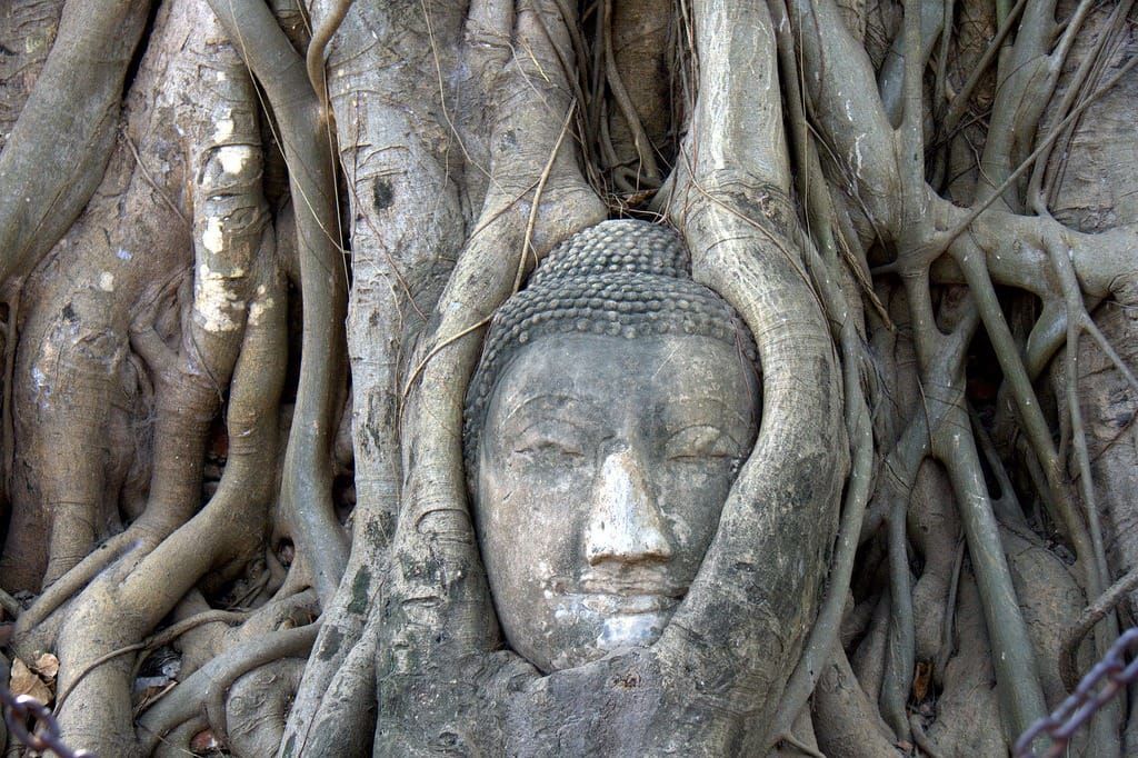 Buddha