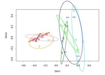 La composición de las comunidades fúngicas del suelo varía según la abundancia de plantas y el origen geográfico