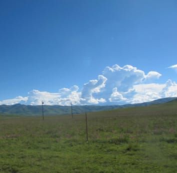 Influences of nitrogen, phosphorus and silicon addition on plant productivity and species richness in an alpine meadow