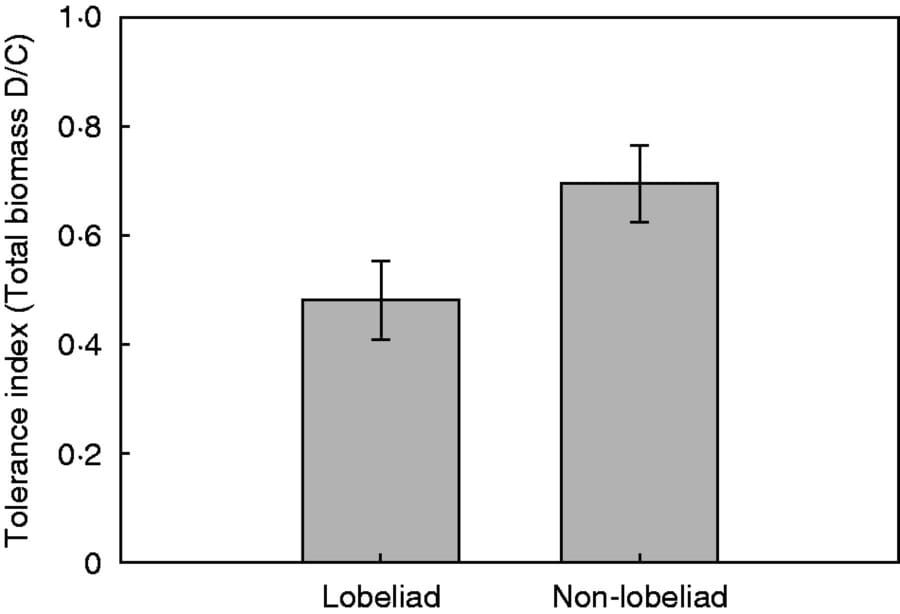 Mean levels of tolerance, quantified as the ratio of damaged/control plant means, for lobeliad species in the Campanulaceae f