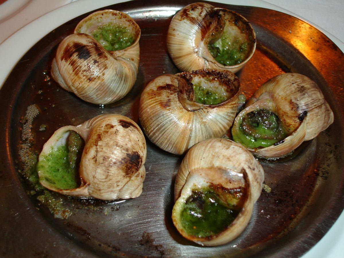 Escargots cuits à la française