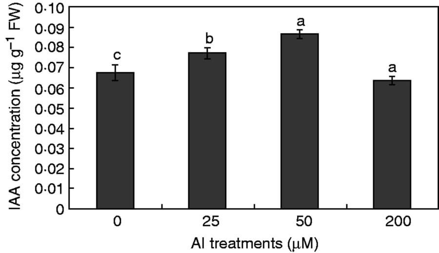 Effect of Al on IAA accumulation in soybean root tips.