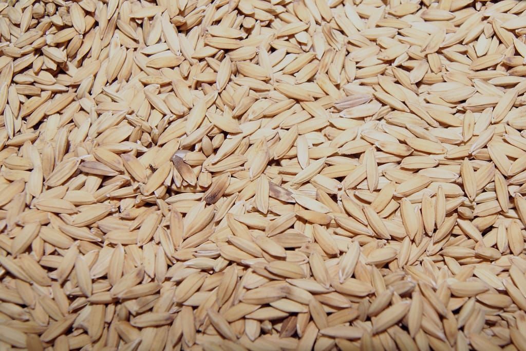 Root hydraulics of drought-tolerant and susceptible rice varieties
