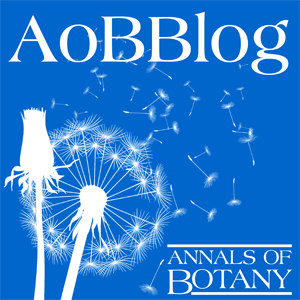 Das AoBBlog-Logo zeigt, wie Löwenzahnsamen verteilt werden