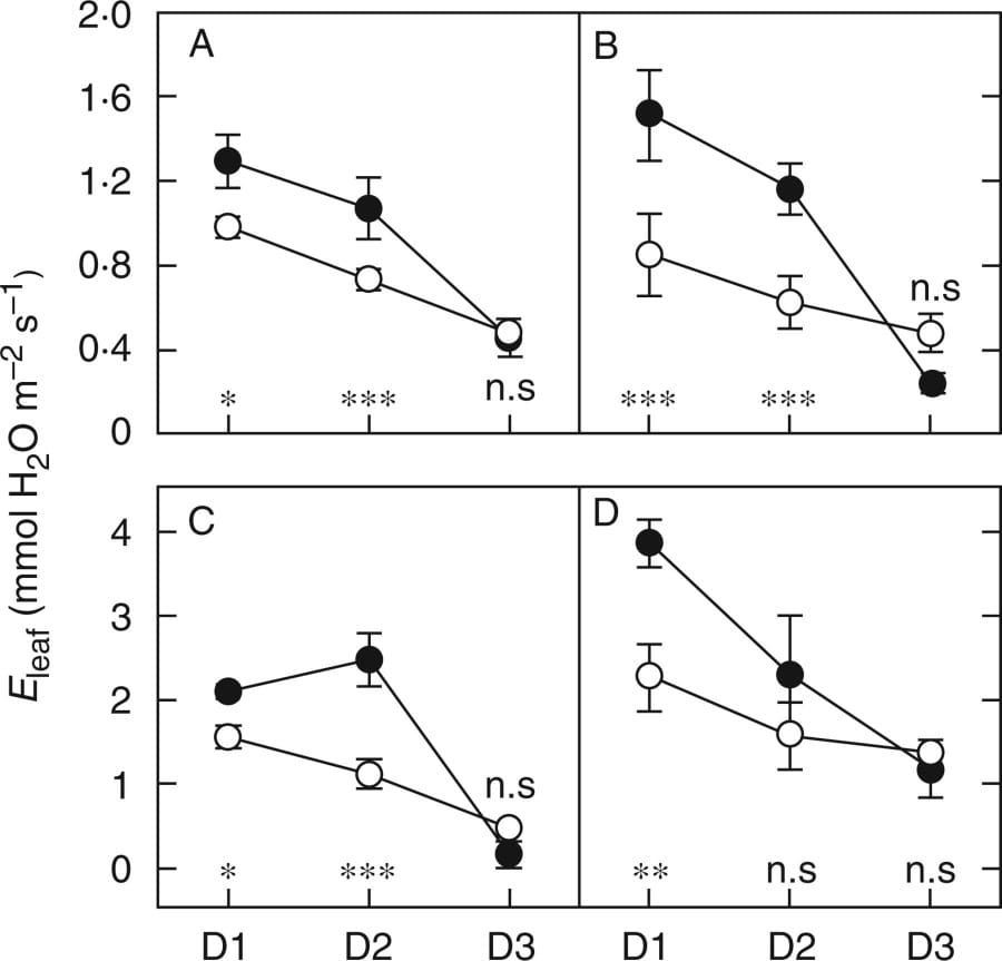 Changes in daily transpiration at the leaf scale in C4 species