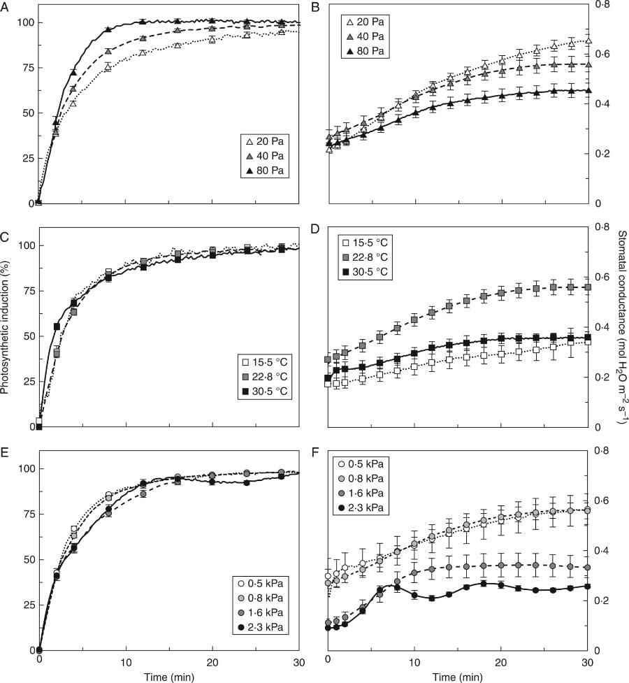 Photosynthetic induction and stomatal conductance in dark-adapted tomato leaves.