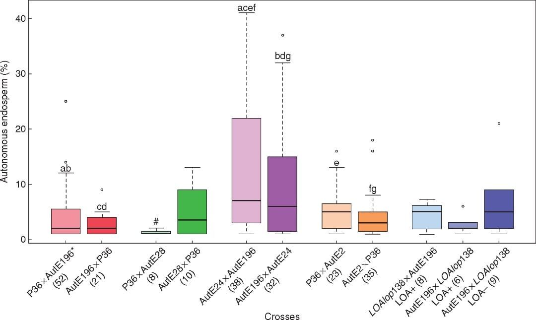 Box-and-whisker diagram for the proportion of ovules with autonomous endosperm in populations from various crosses.